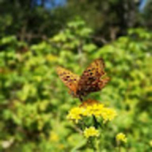 Meet your Posher, Seth